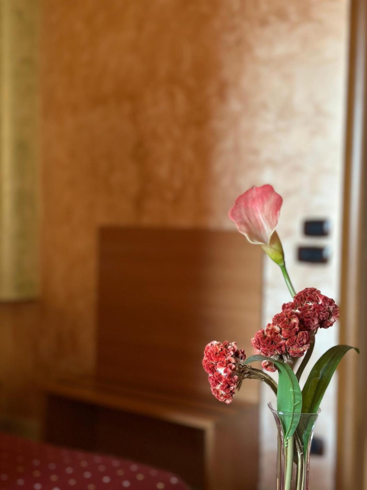 נולה Hotel Il Giardino Degli Aranci מראה חיצוני תמונה